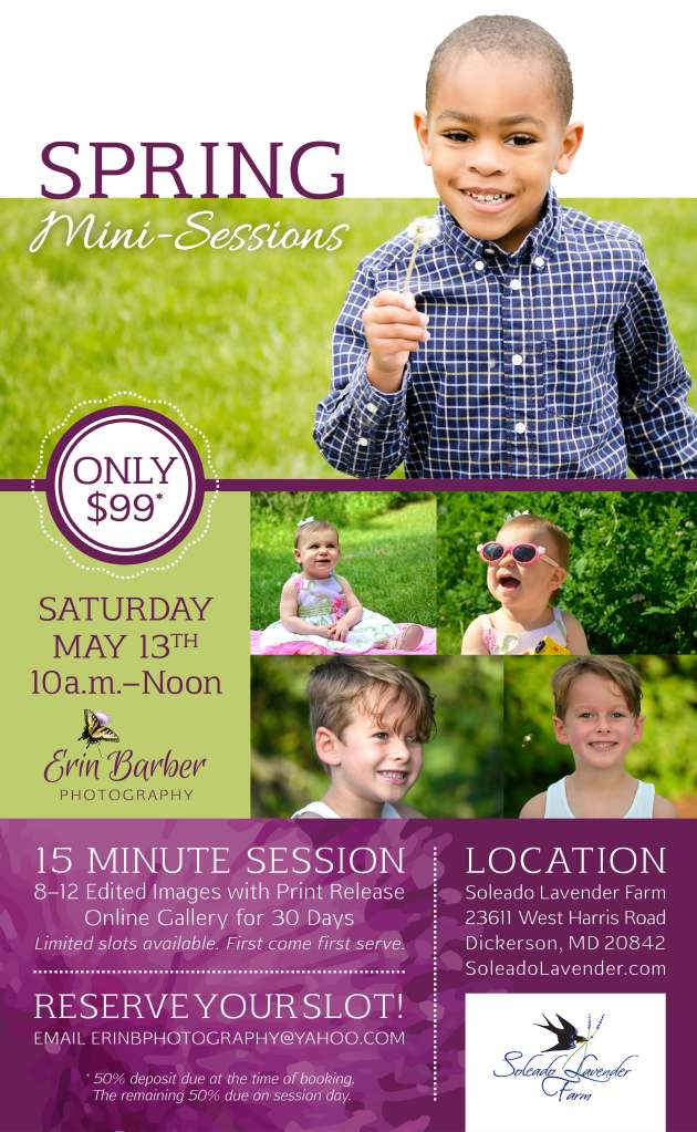 EBP_mini-session_low